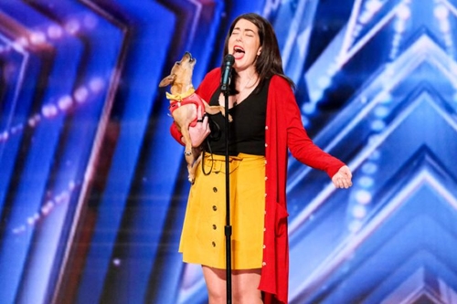 Dogilike.com :: ٺ鹻ҹ§ ͹Ƿ  Americas Got Talent !