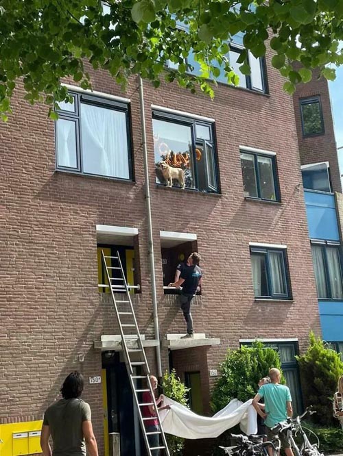 Dogilike.com :: Ҿش! ͹ͧҤԴҵͧ