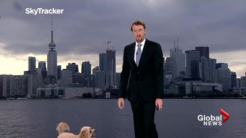 Dogilike.com :: Źѡ! ٺ觫չ йѡǡѧҡóҡ 