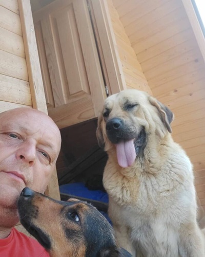 Dogilike.com :: ١عѢҹҡ 1,000  ʹ 20 !