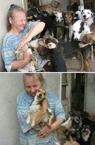 Dogilike.com :: ١عѢҹҡ 1,000  ʹ 20 !