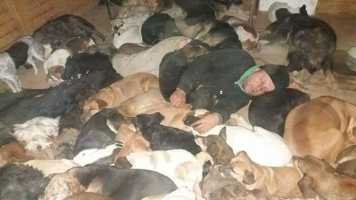 Dogilike.com :: ١عѢҹҡ 1,000  ʹ 20 !