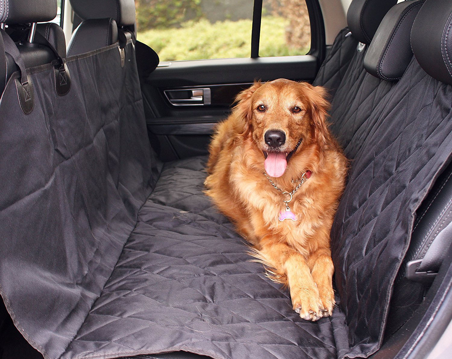 Dogilike.com :: 4 ตัวช่วยน้องหมาให้ปลอดภัยอยู่บนรถ