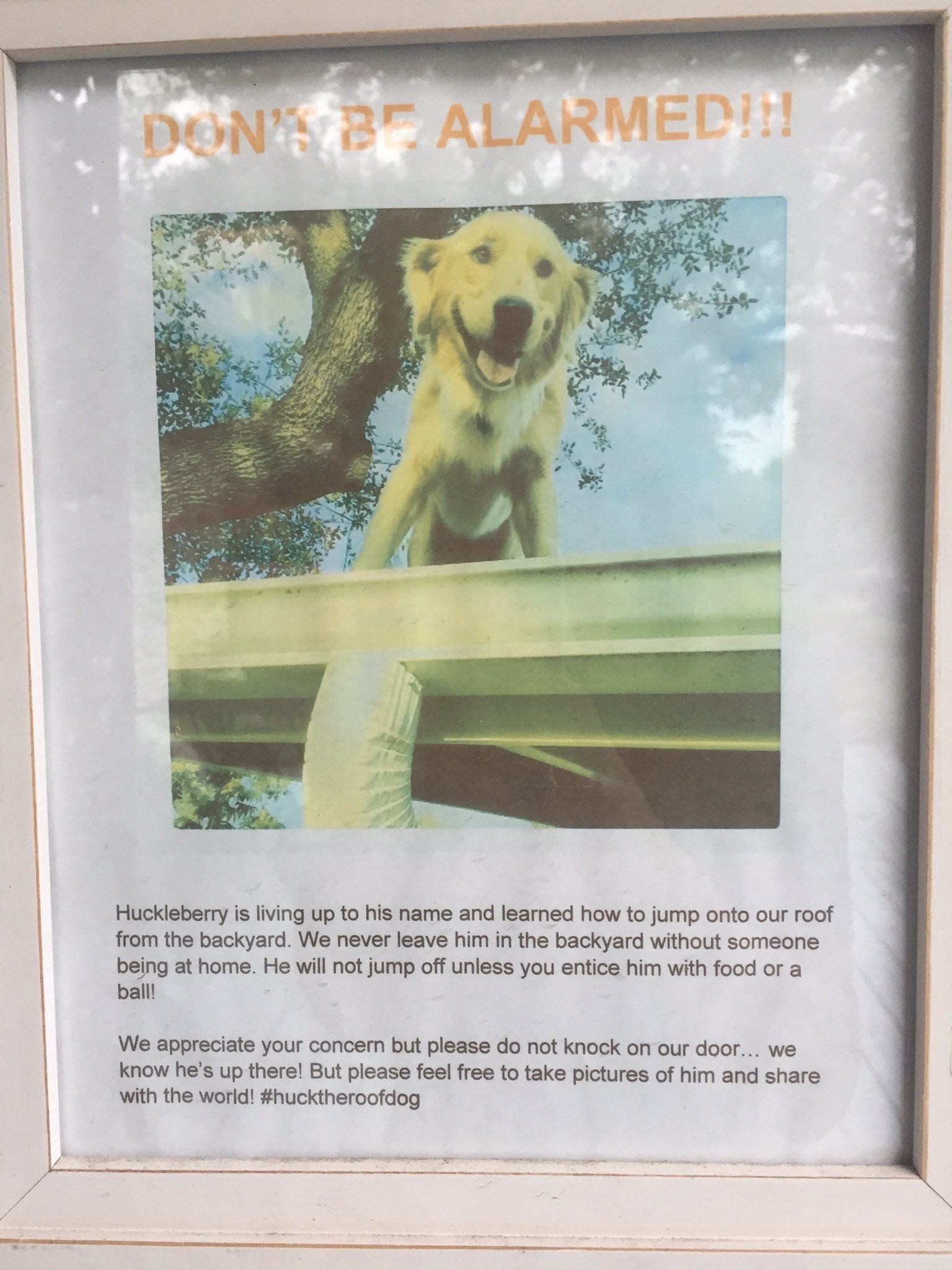 Dogilike.com :: ǵԴ͹! ҵ㨷躹ѧҺҹ