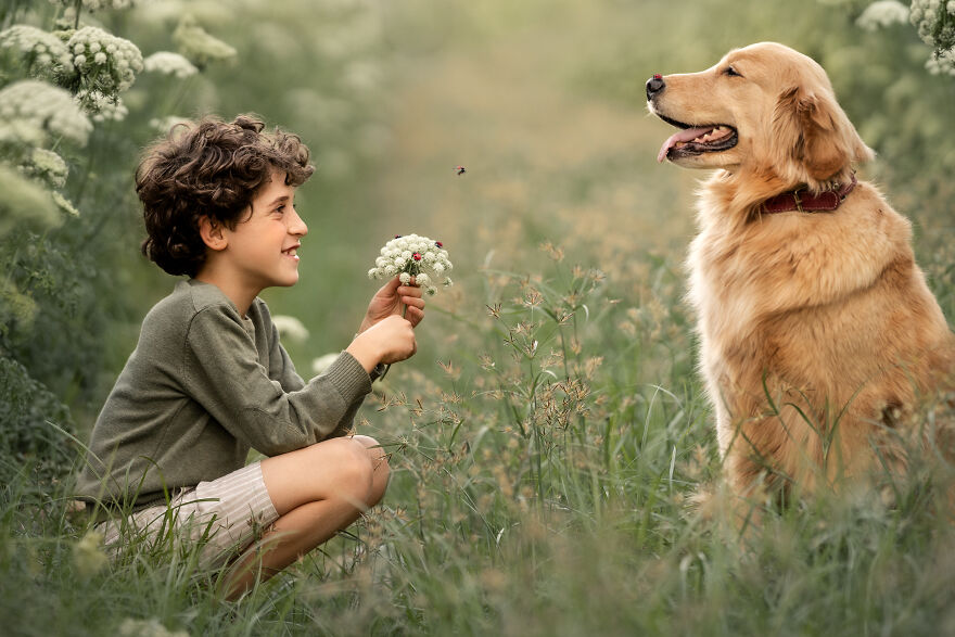 Dogilike.com :: ѴҾ! ͹෾