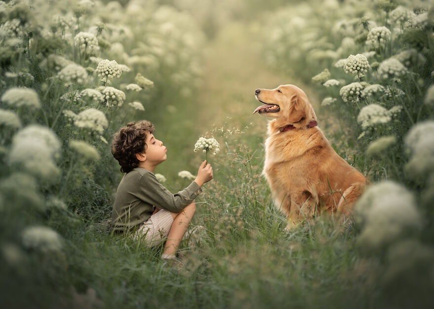 Dogilike.com :: ѴҾ! ͹෾