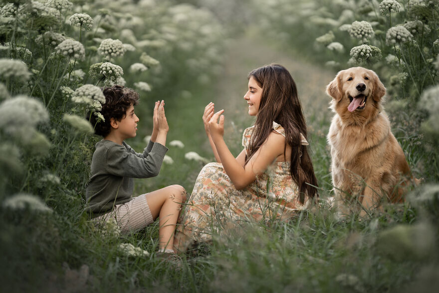 Dogilike.com :: ѴҾ! ͹෾