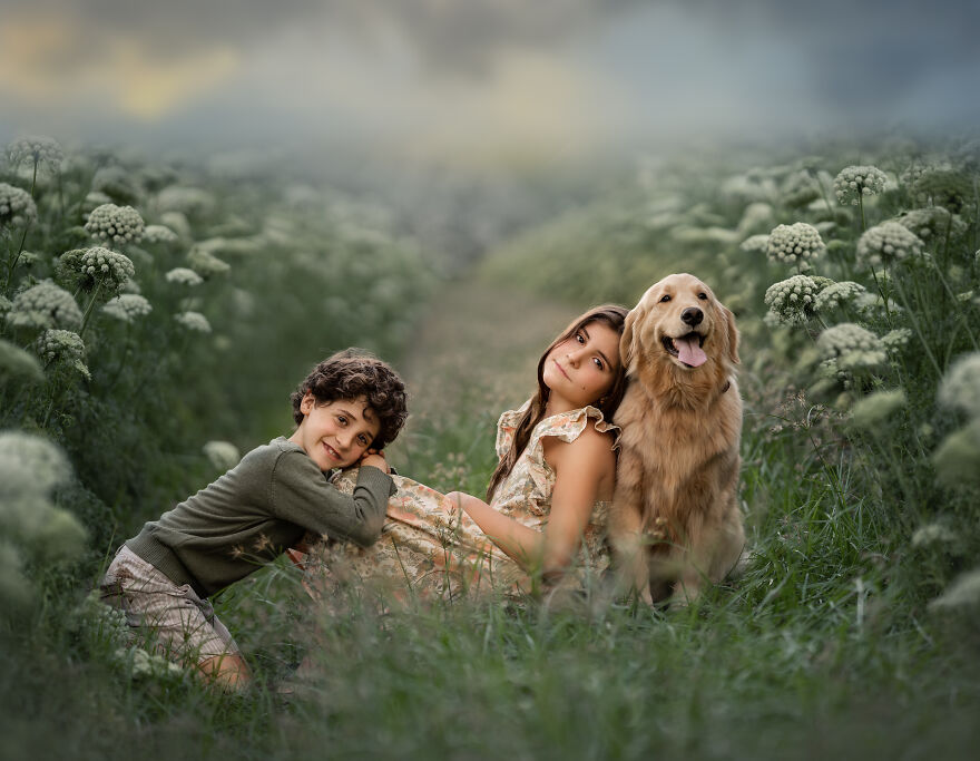 Dogilike.com :: ѴҾ! ͹෾