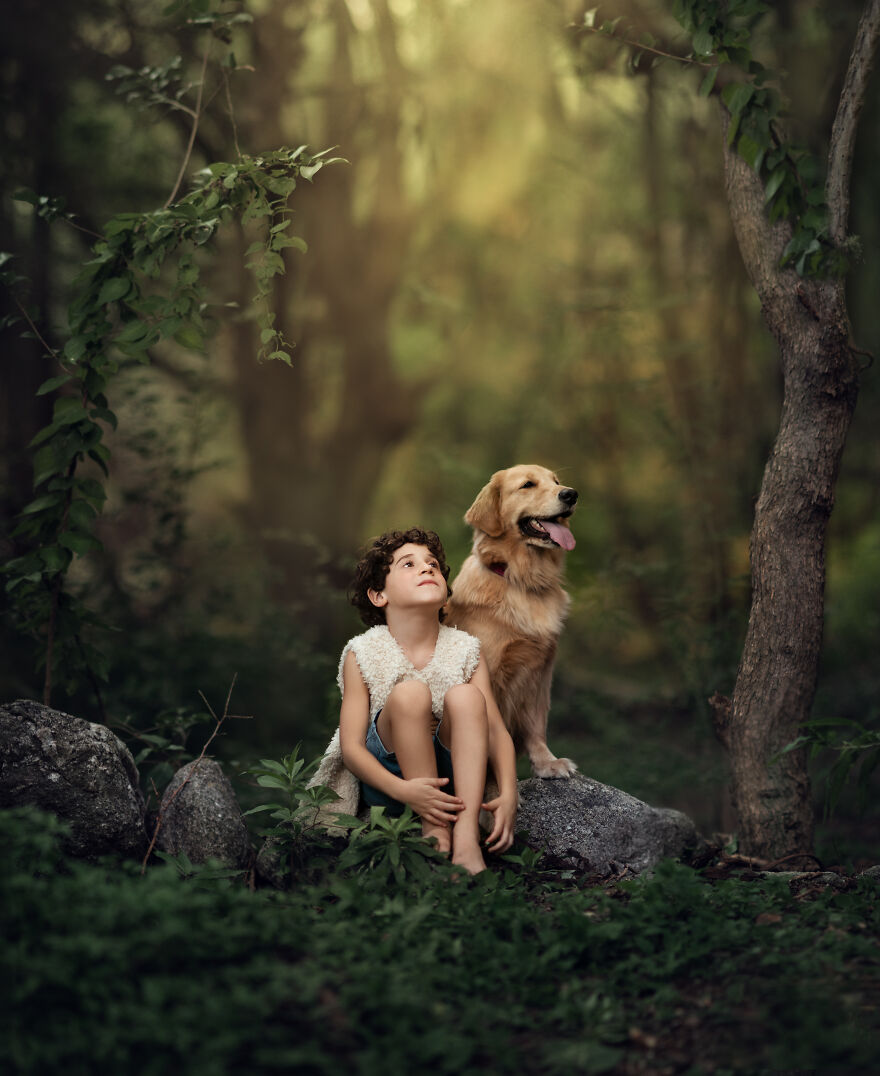 Dogilike.com :: ѴҾ! ͹෾