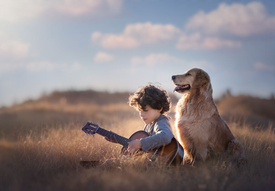 Dogilike.com :: ѴҾ! ͹෾
