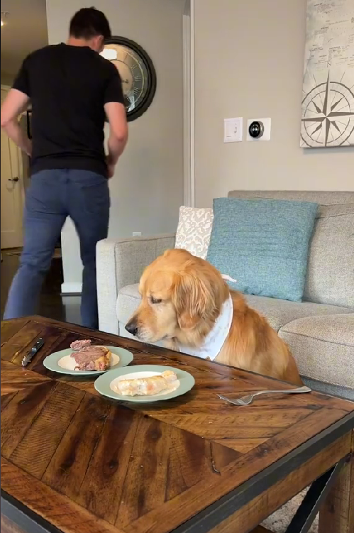 Dogilike.com :: ͺʹ! Ңͧͧ㨵ٺ