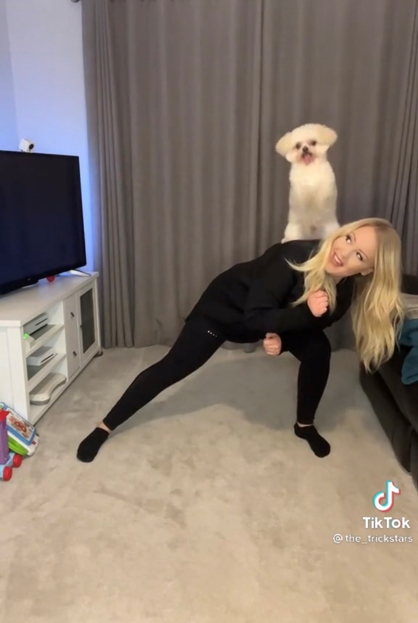 Dogilike.com :: ٶҾҴҡ! ٺ͡ѧ