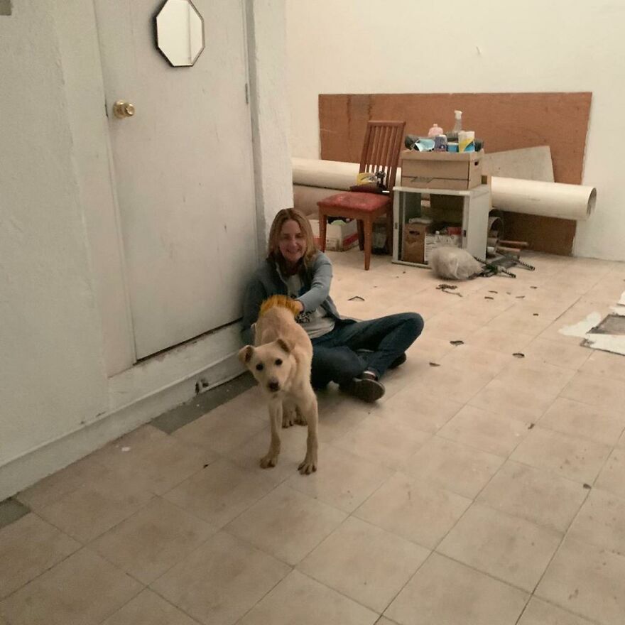 Dogilike.com :: 硪ش! 繵ͧ駵ٺ ¶֧Ңͧ