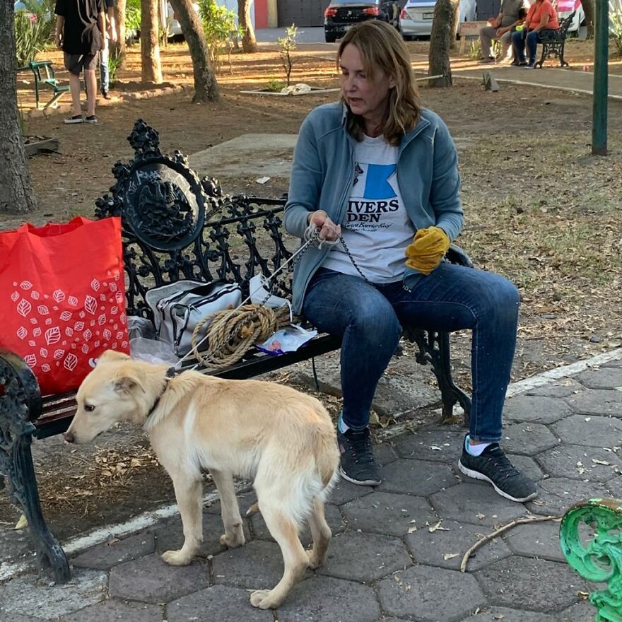 Dogilike.com :: 硪ش! 繵ͧ駵ٺ ¶֧Ңͧ