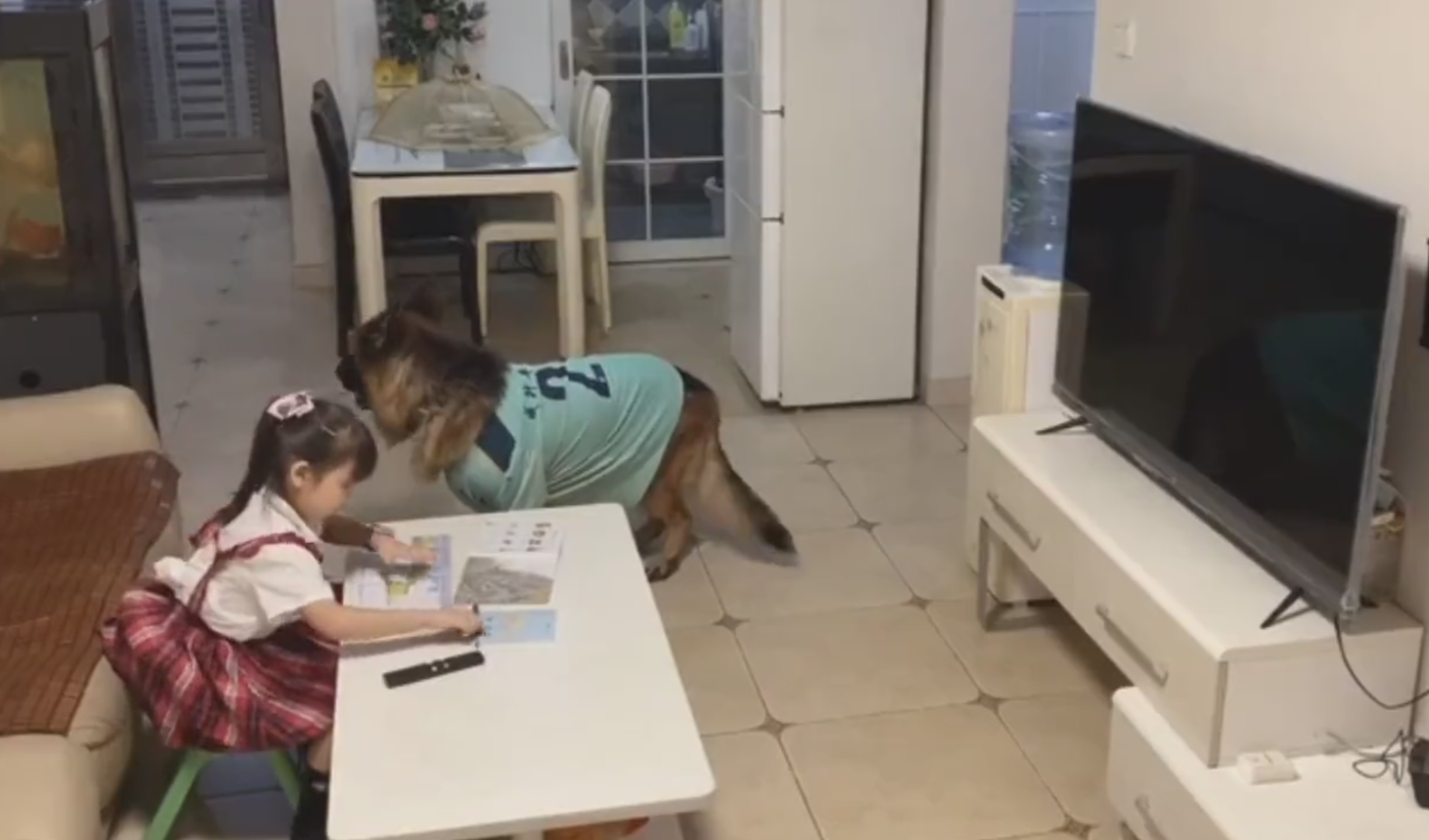 Dogilike.com :: ʺ駾駹ͧ! ͹Դ ͹ⴹʹ