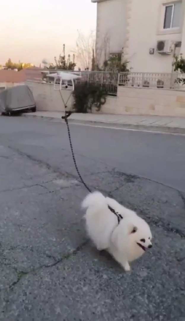 Dogilike.com :: ˹ʵԻش! ٧ٺԹ蹴ùѧѺ