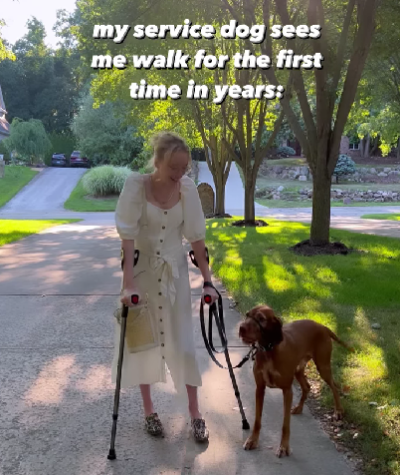 Dogilike.com :: ٺẺ! ѧҢͧԹա