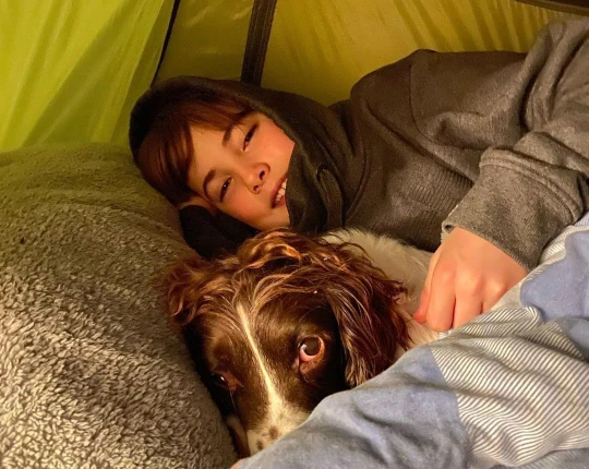Dogilike.com :: ͹繷дع!  13  Թµٺҹ