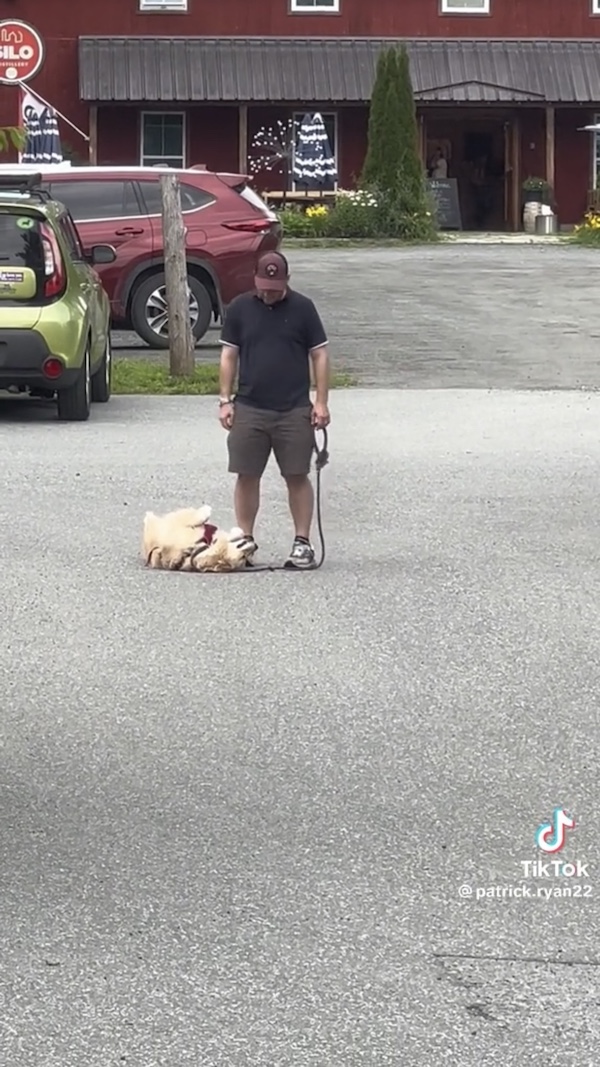 Dogilike.com ::  Ѻҹ! ͹ҧзǧҢͧ