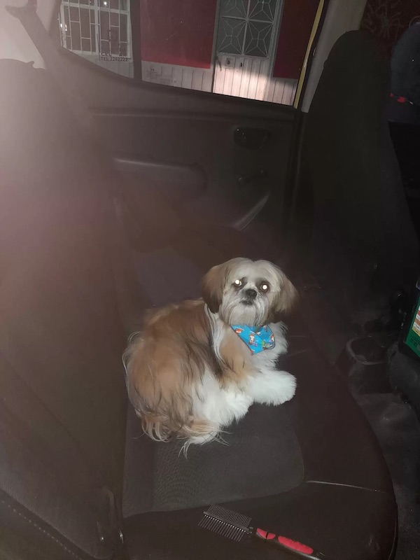 Dogilike.com :: Ңͧ駵ٺ麹硫! Ѻ㨴Ѻͧ§
