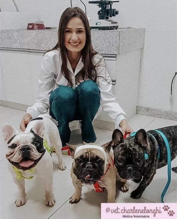 Dogilike.com :: ٺس͵͹öԴ! ֡Ƕ֧˵ءó㹤Թԡ