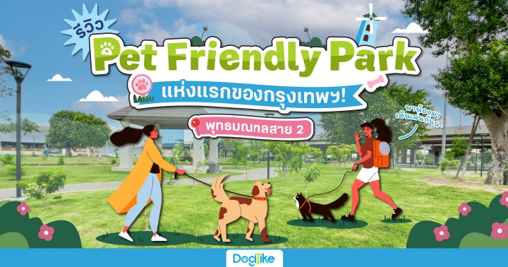 Dogilike.com :: Pet Frilendly Park áͧ  ط 2