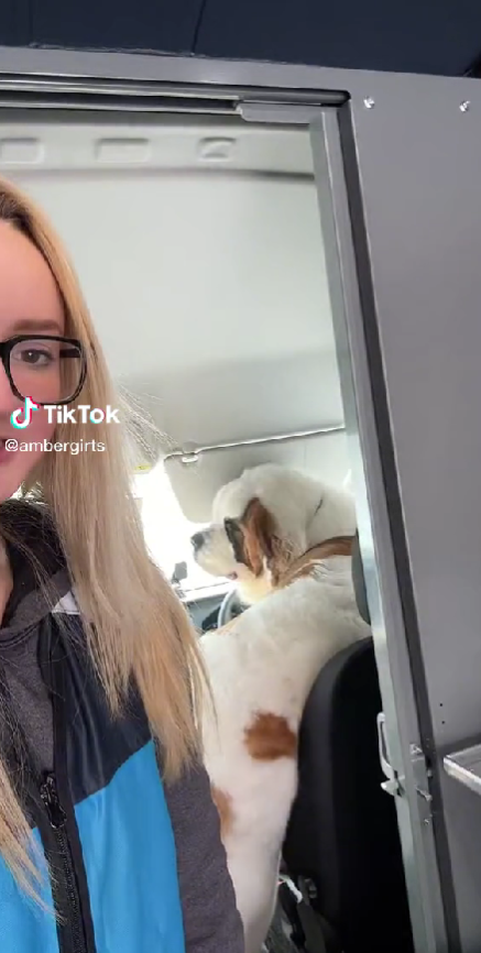 Dogilike.com :: ٺʺͧöʴ! ѺԴ ͧ繢