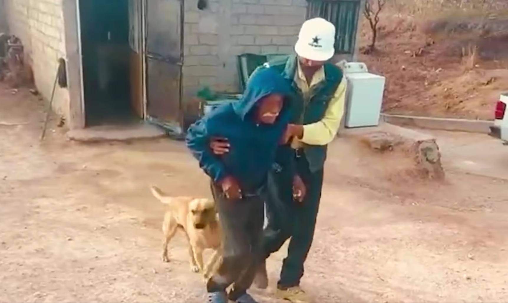 Dogilike.com :: سŧҧҧŷ! ٺشѡ蹵Ҩ