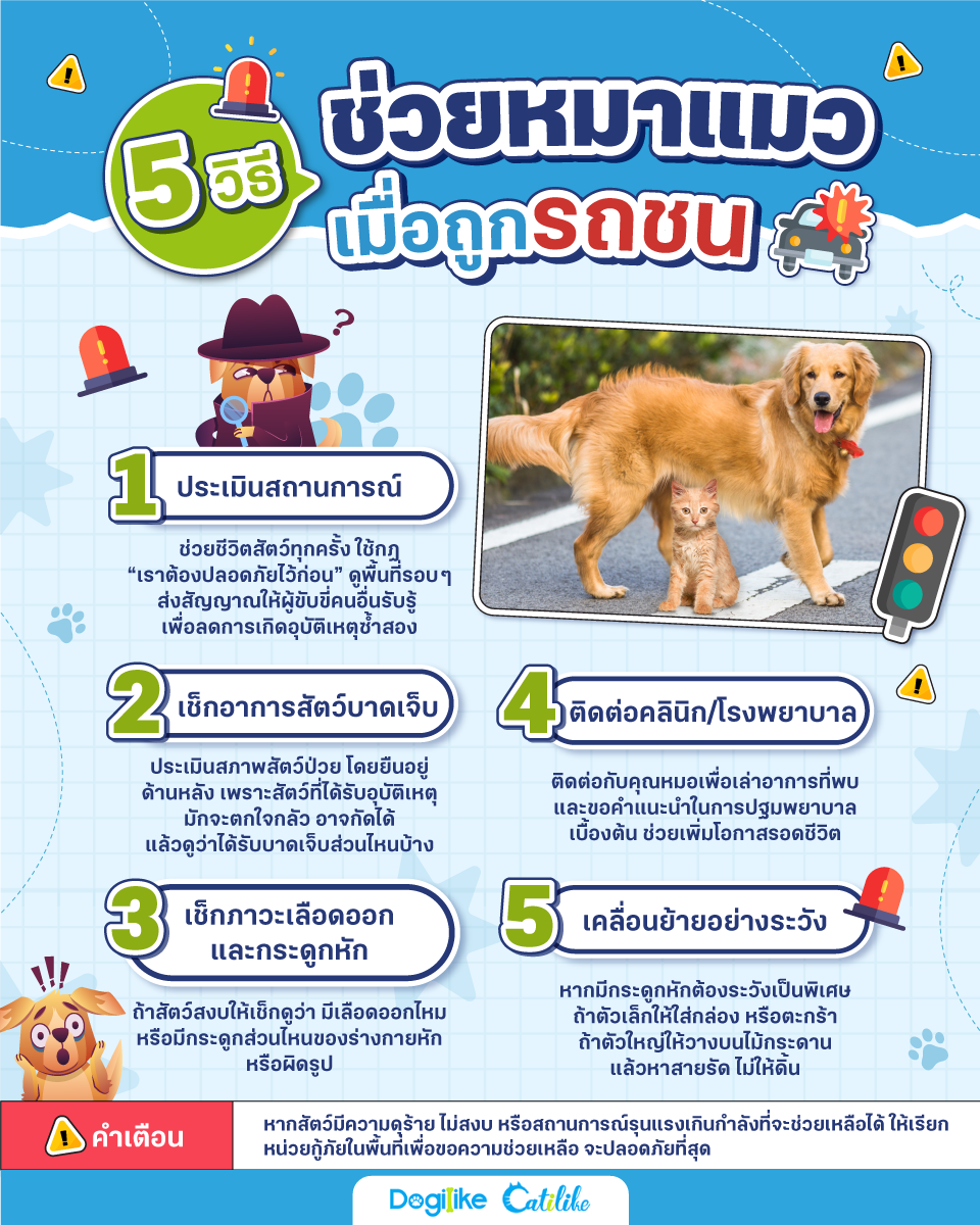Dogilike.com :: 5 Ըժ Ͷ١ö!