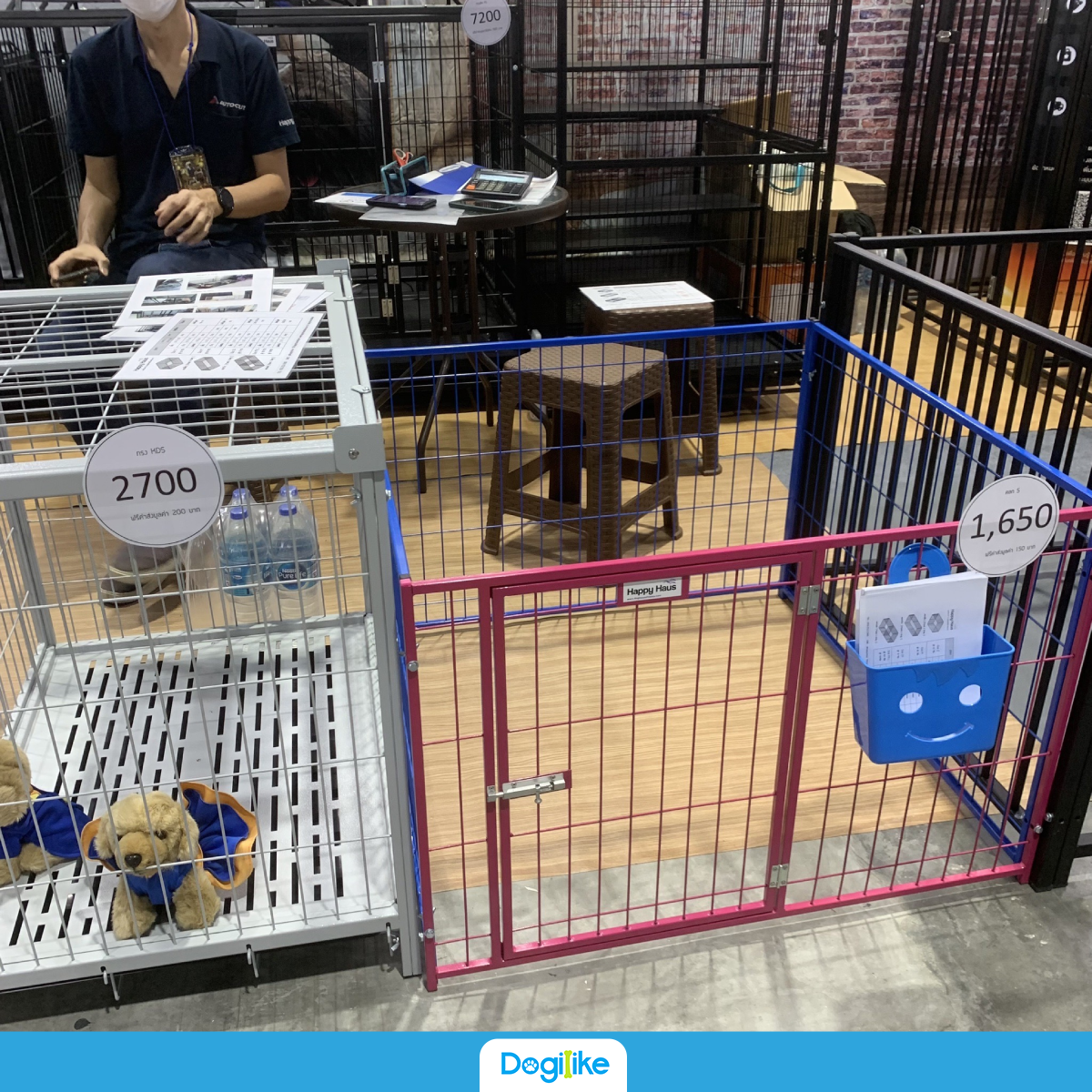 Dogilike.com :: Dogilike ҵ PET EXPO THAILAND 2023 Ŵء駧ҹ! 