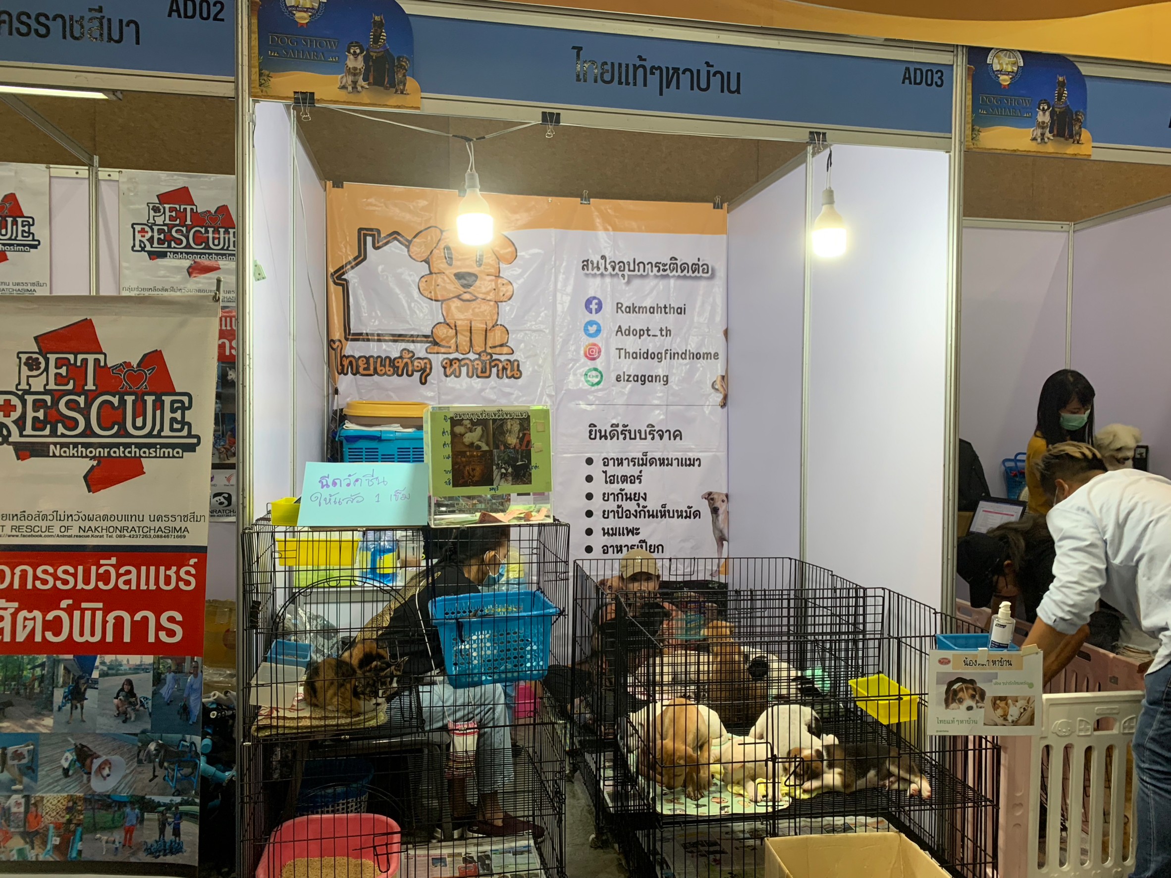 Dogilike.com :: Dogilike ¾ÒÊèÍ§â»Ãà´ç´ THAILAND INTERNATIONAL DOG SHOW 2023