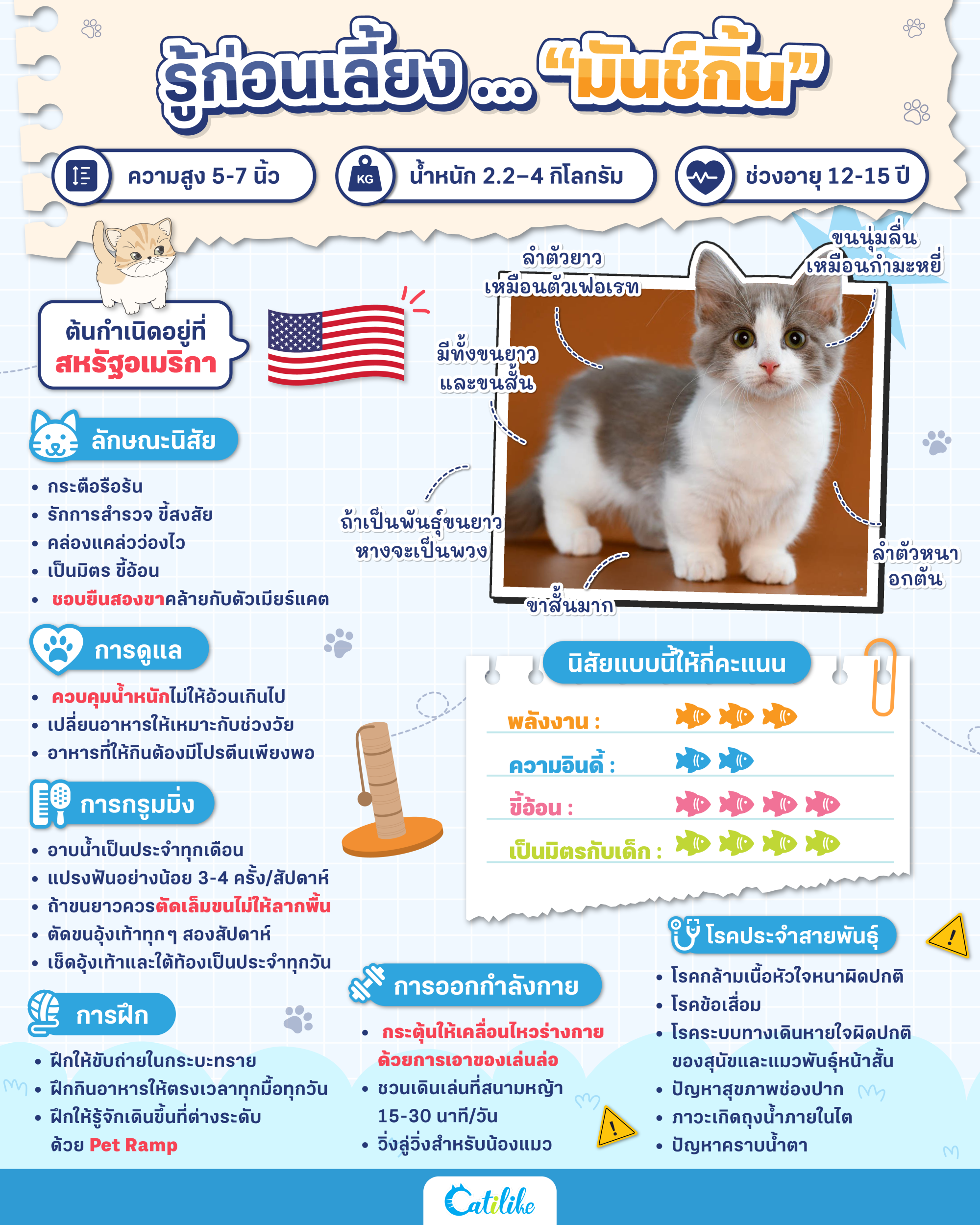 Dogilike.com :: ͹§ ... ѹ
