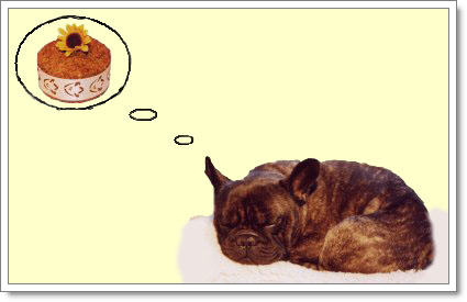 Dogilike.com :: ͧҽѹ?