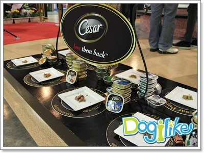 Dogilike.com :: ҷҹ Thailand International Dog Show 2011 Part 1