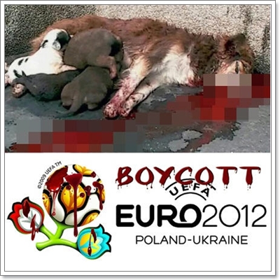 Dogilike.com :: شʹعѢش͵ͺ 2011