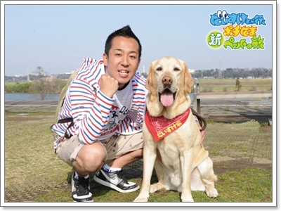 Dogilike.com :: شʹعѢش͵ͺ 2011
