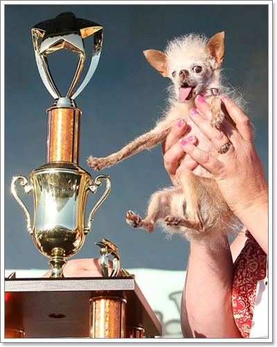 Dogilike.com :: شʹعѢش͵ͺ 2011