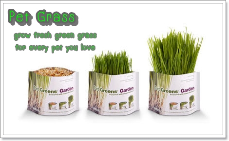 Dogilike.com :: Pet Grass ᡹Ԥ