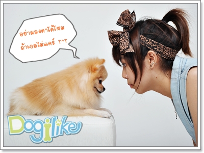Dogilike.com :: ѴáѺͧҹѡⴴ