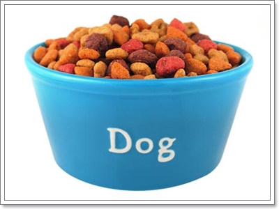 Dogilike.com :: ฝึกพฤติกรรมการกินของสุนัข