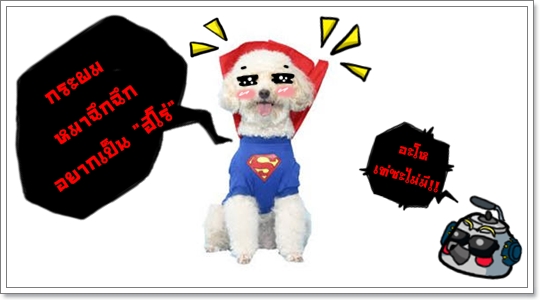 Dogilike.com :: ͧ ҡš