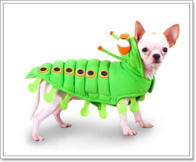 Dogilike.com :: ŧǹ ǹ ҡ 
