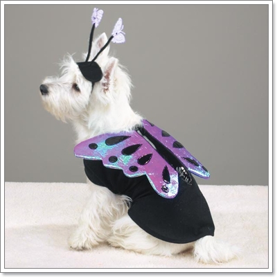Dogilike.com :: ŧǹ ǹ ҡ 