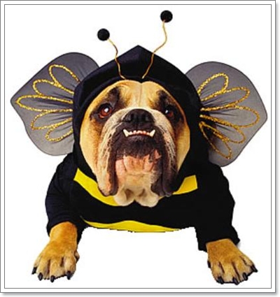 Dogilike.com :: ŧǹ ǹ ҡ 
