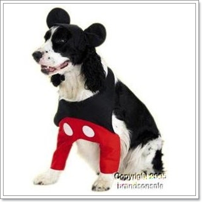 Dogilike.com :: Ὺšٹ ͧҹ