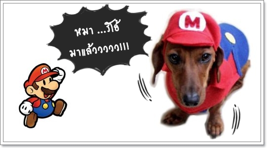 Dogilike.com :: Ὺ�蹨ҡ ����������� �ʹ�Ե