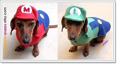 Dogilike.com :: Ὺ�蹨ҡ ����������� �ʹ�Ե
