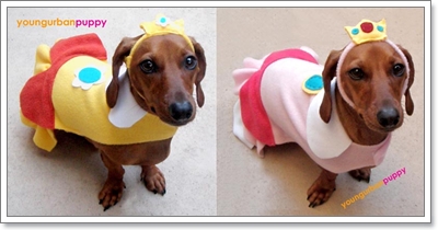 Dogilike.com :: Ὺ�蹨ҡ ����������� �ʹ�Ե