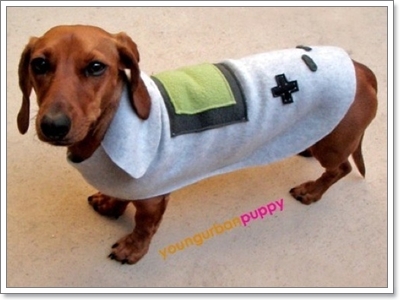 Dogilike.com :: Ὺ�蹨ҡ ����������� �ʹ�Ե