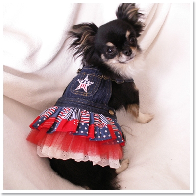 Dogilike.com :: JEANS never die